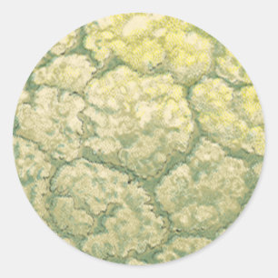 Vintage-Lebensmittel Gemüse Blumenkohl Runder Aufkleber