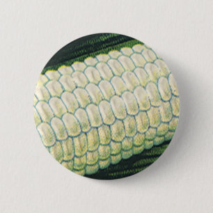 Vintage-Lebensmittel Gemüse Weiße Maiskolben Button