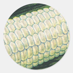 Vintage-Lebensmittel Gemüse Weiße Maiskolben Runder Aufkleber