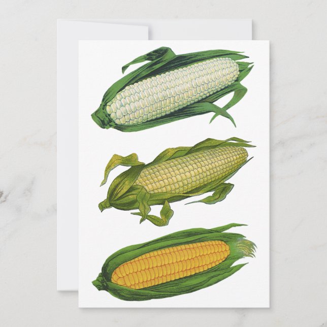 Vintage Lebensmittel gesunde Gemüse, frischer Mais (Vorderseite)