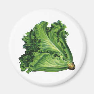 Vintage-Lebensmittel, grüner Blattsalat Gemüse Magnet
