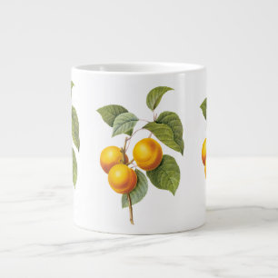 Vintage-Lebensmittel Obst, Aprikose Pfirsich von R Jumbo-Tasse