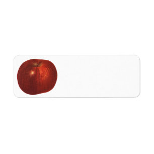 Vintage-Lebensmittel Obst, Bio-Rot Delicious Apfel