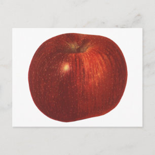 Vintage-Lebensmittel Obst, Bio-Rot Delicious Apfel Postkarte