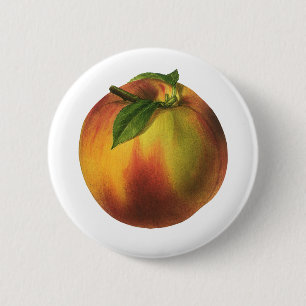 Vintage-Lebensmittel Obst, reife Bio-Pfirsich mit Button