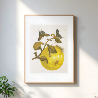 Vintage Lemon Plant With Butterflies Yellow Art Poster