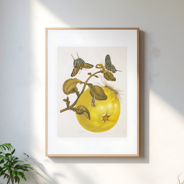 Vintage Lemon Plant With Butterflies Yellow Art Poster (Von Creator hochgeladen)