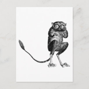 Vintage Lemur Postkarte