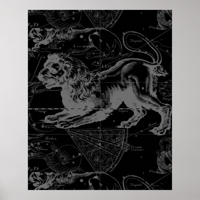 Vintage Leokonstellation MapHevelius 1690 Poster (Vorne)