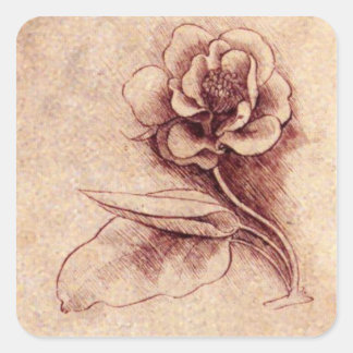 Vintage-Leonardo-Da-Vinci-Blumen-Quadrat-Aufkleber Quadratischer Aufkleber