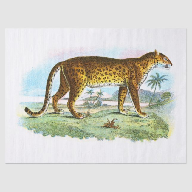 Vintage Leopard-Illustration Seidenpapier (Vorderseite)