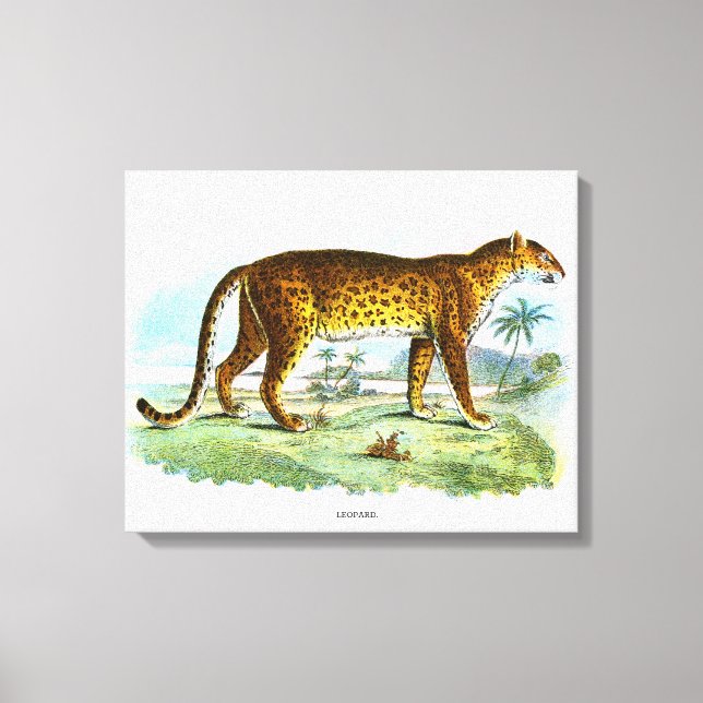 Vintage Leopardendarstellung Leinwanddruck (Vorderseite)