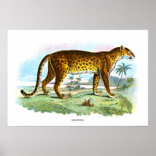 Vintage Leopardendarstellung Poster