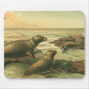 Vintage Leopardrobben, aquatische Tiere Meereslebe Mousepad