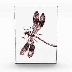 Vintage Libelle - Rot Fotoblock