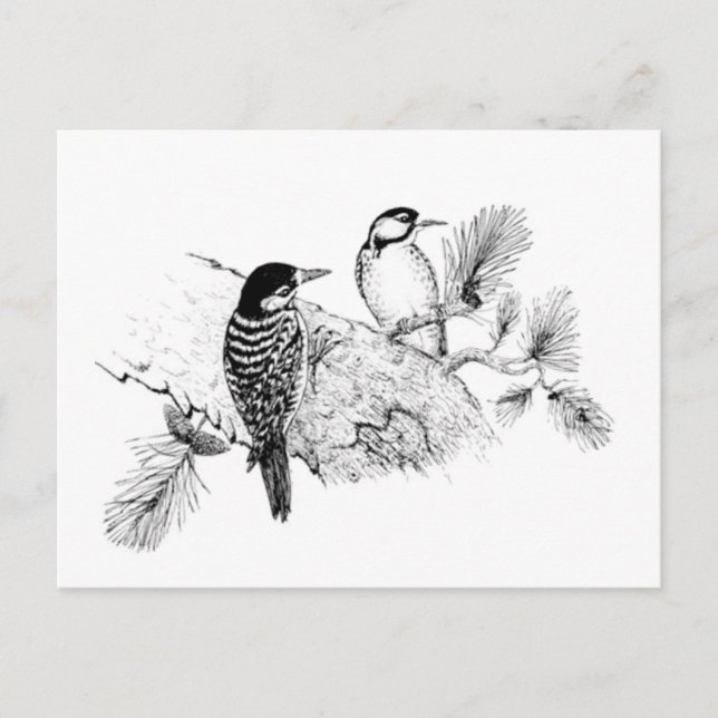 Vintage Liebesvögel heiraten das Datum Einladungspostkarte (Vorderseite)