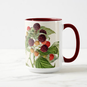 Vintage Lila Himbeere Tasse