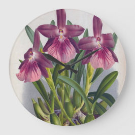 Vintage Lila Lady Orchids Miltonia Spectabilis Große Wanduhr