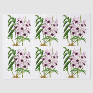 Vintage Lila Orchideen-Blume Seidenpapier