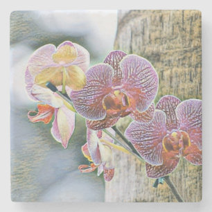 Vintage Lila Rosa Orchideen-Blume im Logbuch Steinuntersetzer