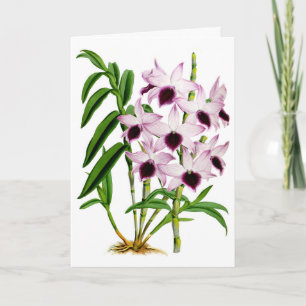 Vintage Lila Weiße Orchidee Blume Karte