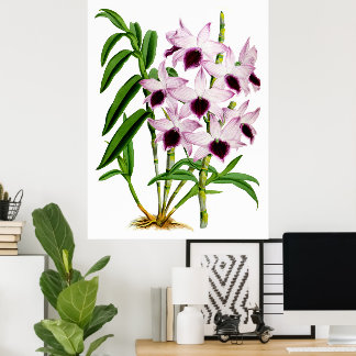 Vintage lila weiße Orchideenblüte Poster