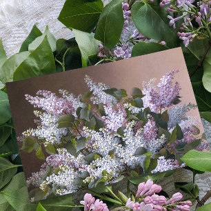 Vintage Lilacs am Muttertag Karte