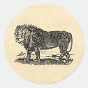 Vintage Lion Illustration - Afrikanisches Tier aus Runder Aufkleber