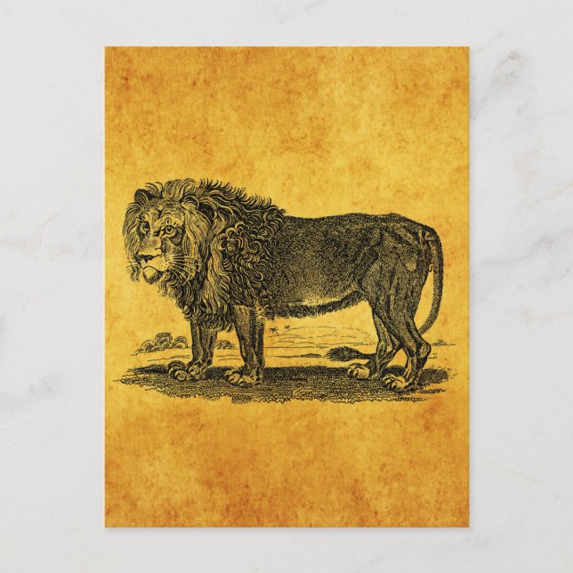 Vintage Lion Illustration - Afrikanisches Tier der Postkarte (Vorderseite)