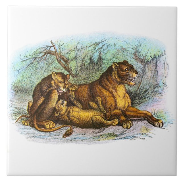 Vintage Lioness- und Cubs-Tierdarstellung Fliese (Vorderseite)