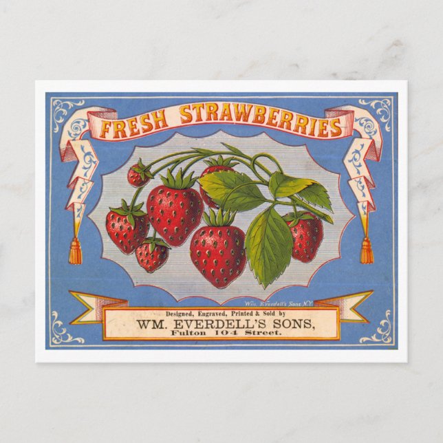 Vintage Lithographiewerbung für frische Erdbeeren Postkarte (Vorderseite)