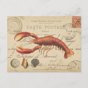 Vintage Lobster and seashells postcard Postkarte