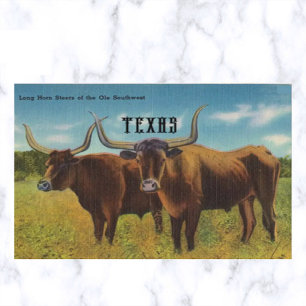 Vintage Long Horn Ochsen San Antonio Texas Postkarte