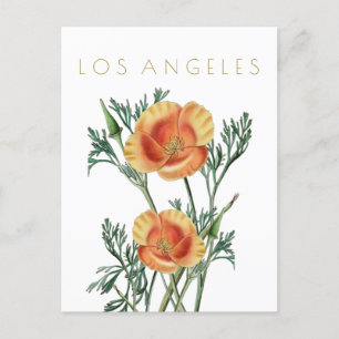 Vintage Los Angeles Staatsblume Reise Midcentury Postkarte
