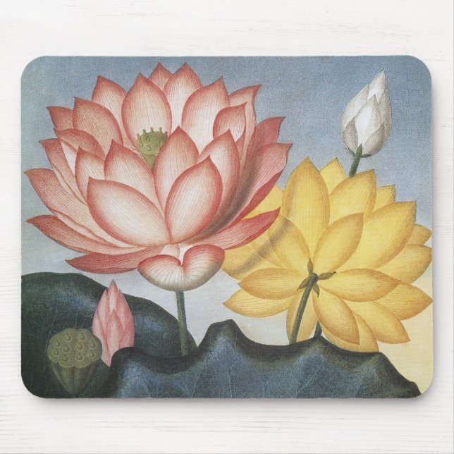 Vintage Lotus-Blume, die heilige ägyptische Bean Mousepad (Vorne)
