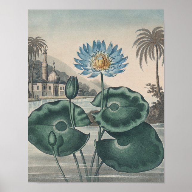Vintage-Lotus Poster (Vorne)