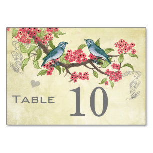 Vintage Love Bird Pink Rot Türkis Blau Grün Tischnummer