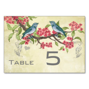 Vintage Love Bird Rosa Rot Türkis Blau Grün Tischnummer