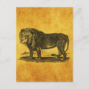 Vintage-Löwen-Illustration - Afrikanisches Tier de Postkarte