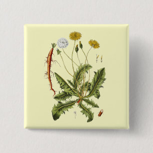 Vintage Löwenzahn-Illustration Button
