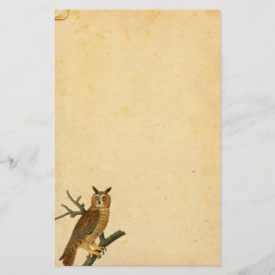 Vintage lustig aussehende Eule Pergamentpapier Briefpapier