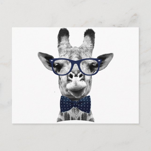 Vintage lustige Giraffe Postkarte (Vorderseite)