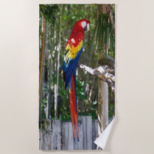 Vintage Macaw-Parrot-Insel Strandtuch