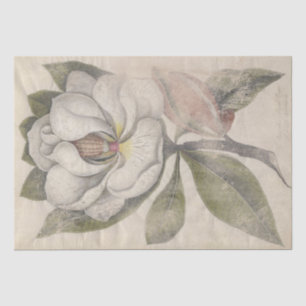 Vintage Magnolia-Blume Botanische Dekoupage Seidenpapier