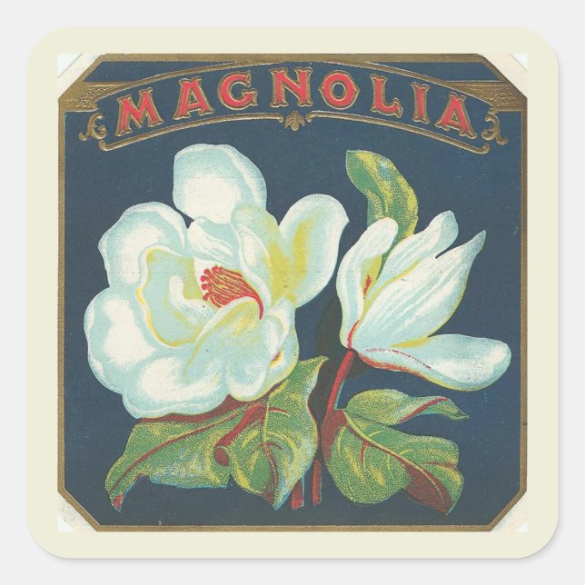 Vintage Magnolia-Blume Quadratischer Aufkleber (Vorderseite)