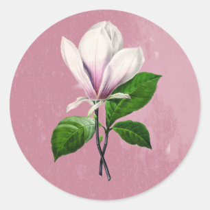 Vintage Magnolia Song Bekleidung und Geschenke Runder Aufkleber