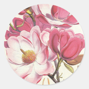 Vintage Magnolia Tree Blossom, Rosa Garten Blume Runder Aufkleber
