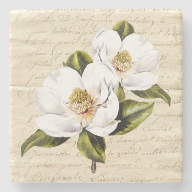 Vintage Magnolie blüht SteinUntersetzer (Vorderseite)