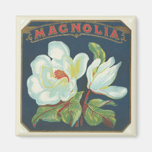 Vintage Magnolien-Blume Magnet
