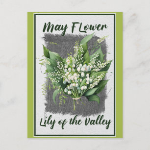 Vintage Mai Blume Lily of the Valley Floral Postkarte